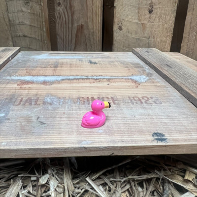 Flamingo BOTANICAL BESTIES PLANT COMPANIONS