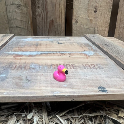 Flamingo BOTANICAL BESTIES PLANT COMPANIONS