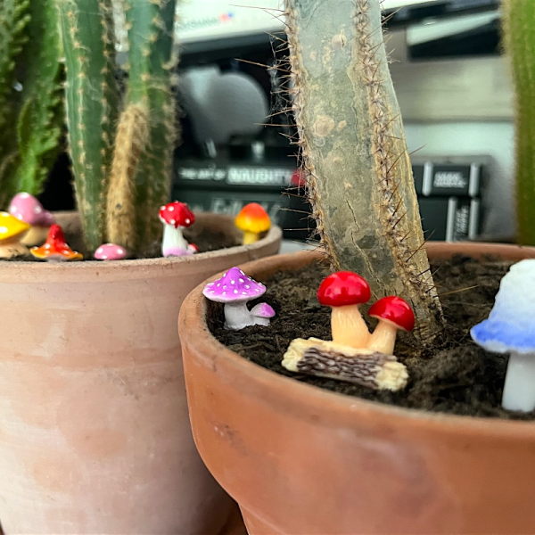 BOTANICAL BESTIES - PLANT COMPANIONS MUSHROOMS