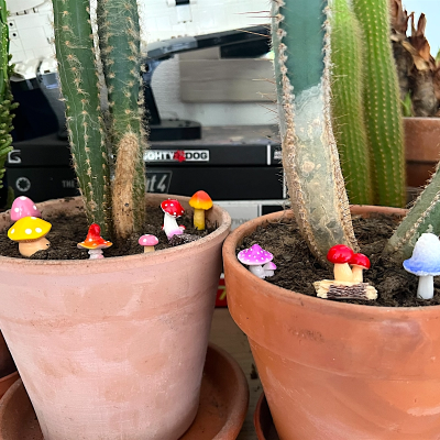 BOTANICAL BESTIES - PLANT COMPANIONS MUSHROOMS