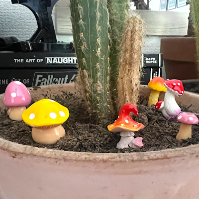 BOTANICAL BESTIES - PLANT COMPANIONS MUSHROOMS