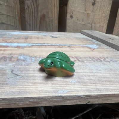 Turtle BOTANICAL BESTIES PLANT COMPANIONS