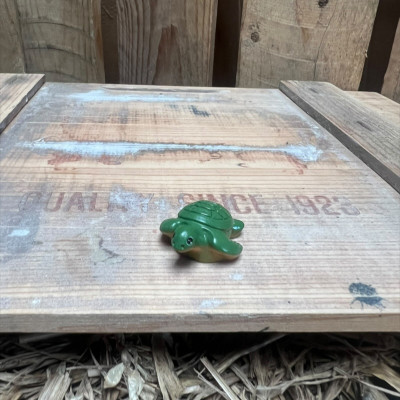 Turtle BOTANICAL BESTIES PLANT COMPANIONS