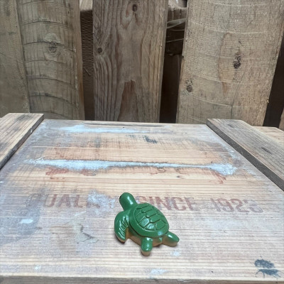 Turtle BOTANICAL BESTIES PLANT COMPANIONS
