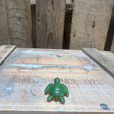 Turtle BOTANICAL BESTIES PLANT COMPANIONS