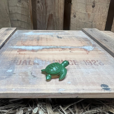 Turtle BOTANICAL BESTIES PLANT COMPANIONS
