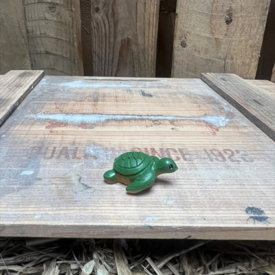 Turtle BOTANICAL BESTIES PLANT COMPANIONS