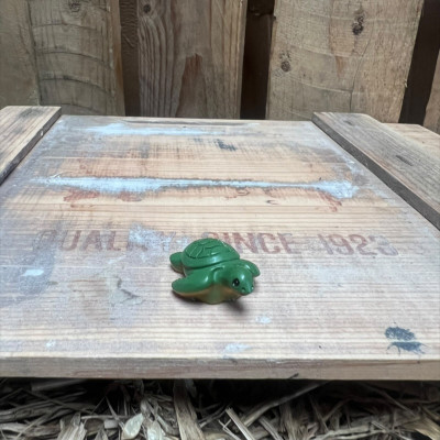 Turtle BOTANICAL BESTIES PLANT COMPANIONS