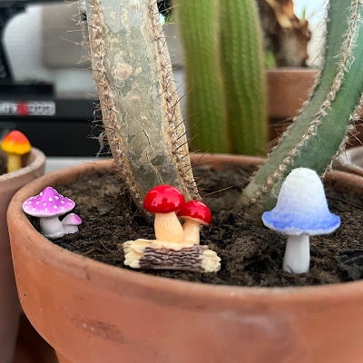 BOTANICAL BESTIES - PLANT COMPANIONS MUSHROOMS