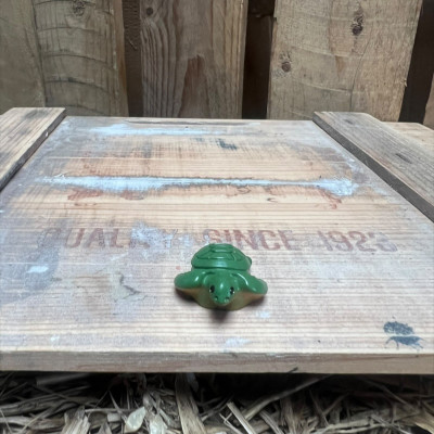 Turtle BOTANICAL BESTIES PLANT COMPANIONS