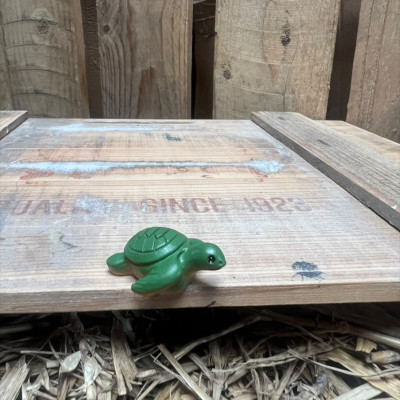 Turtle BOTANICAL BESTIES PLANT COMPANIONS