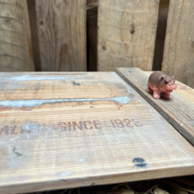 Standing Hippo BOTANICAL BESTIES PLANT COMPANIONS