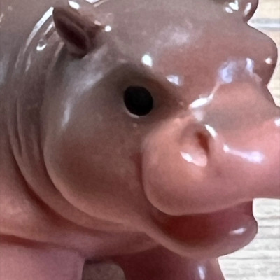 Standing Hippo BOTANICAL BESTIES PLANT COMPANIONS
