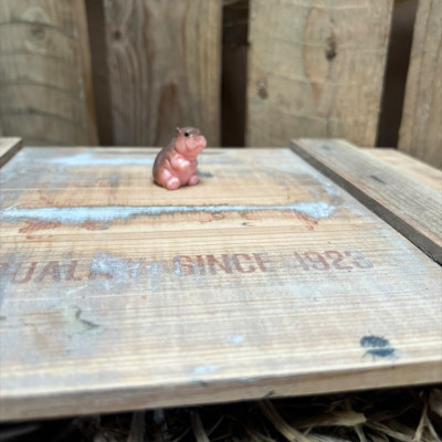 Sitting Hippo BOTANICAL BESTIES PLANT COMPANIONS