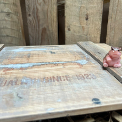 Sitting Hippo BOTANICAL BESTIES PLANT COMPANIONS