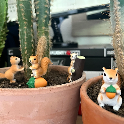 BOTANICAL BESTIES - PLANT COMPANIONS SQUIRRELS