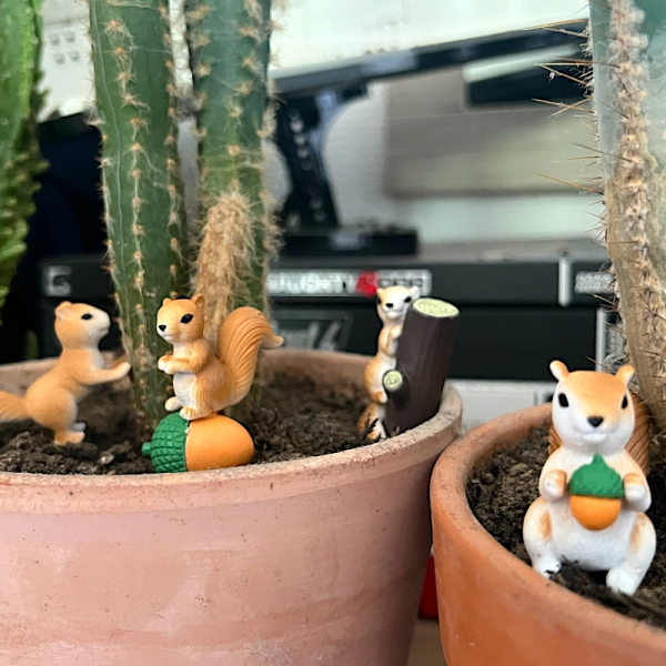 BOTANICAL BESTIES - PLANT COMPANIONS SQUIRRELS