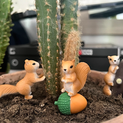 BOTANICAL BESTIES - PLANT COMPANIONS SQUIRRELS