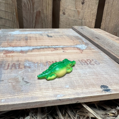Snoozing Crocodile BOTANICAL BESTIES PLANT COMPANIONS