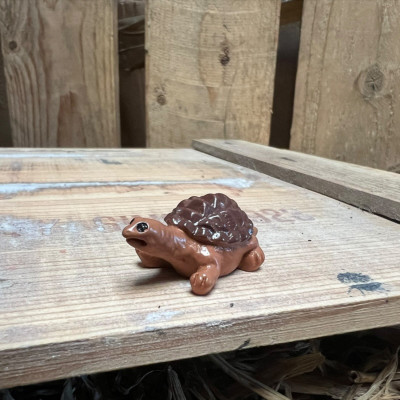 Barry the Brown Tortoise BOTANICAL BESTIES PLANT COMPANIONS