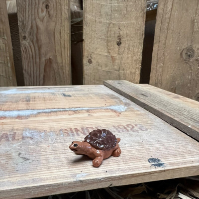 Barry the Brown Tortoise BOTANICAL BESTIES PLANT COMPANIONS
