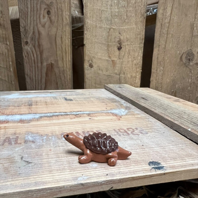 Barry the Brown Tortoise BOTANICAL BESTIES PLANT COMPANIONS
