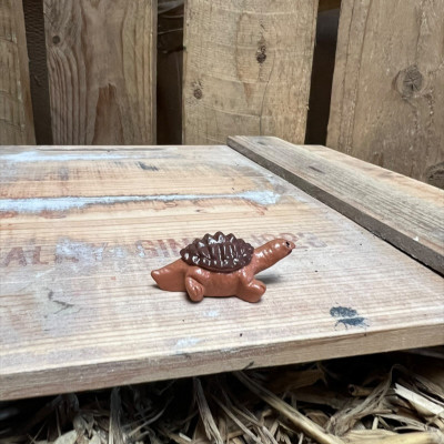 Barry the Brown Tortoise BOTANICAL BESTIES PLANT COMPANIONS
