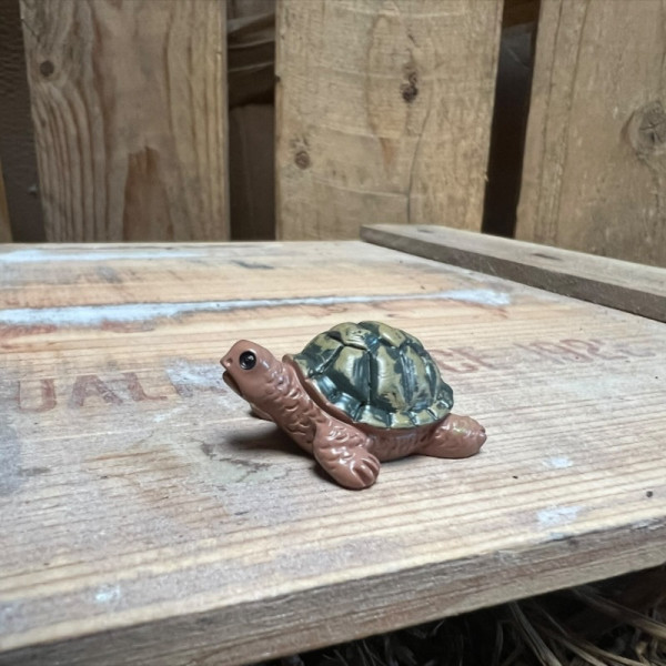 Jerry the Green and Brown Tortoise BOTANICAL BESTIES PLANT COMPANIONS