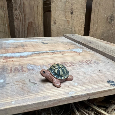 Jerry the Green and Brown Tortoise BOTANICAL BESTIES PLANT COMPANIONS