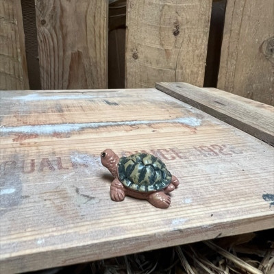 Jerry the Green and Brown Tortoise BOTANICAL BESTIES PLANT COMPANIONS