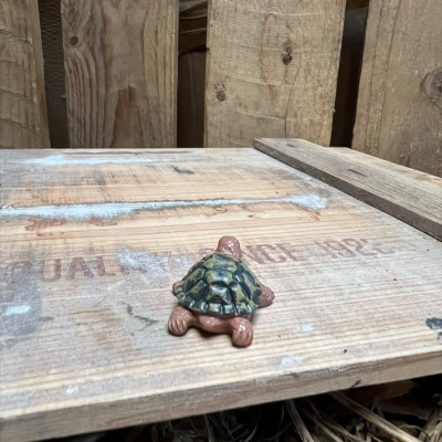 Jerry the Green and Brown Tortoise BOTANICAL BESTIES PLANT COMPANIONS