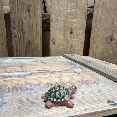 Jerry the Green and Brown Tortoise BOTANICAL BESTIES PLANT COMPANIONS