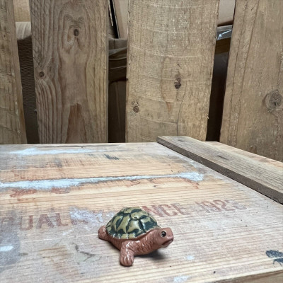 Jerry the Green and Brown Tortoise BOTANICAL BESTIES PLANT COMPANIONS