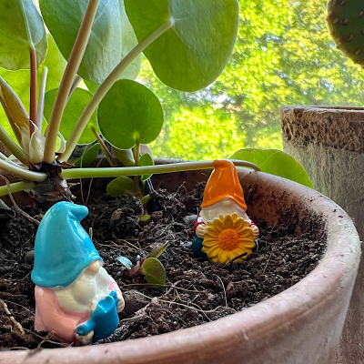 BOTANICAL BESTIES - PLANT COMPANIONS MINI GNOMES