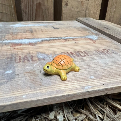 Dave the Yellow Tortoise BOTANICAL BESTIES PLANT COMPANIONS
