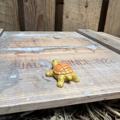 Dave the Yellow Tortoise BOTANICAL BESTIES PLANT COMPANIONS