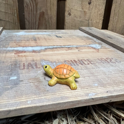Dave the Yellow Tortoise BOTANICAL BESTIES PLANT COMPANIONS
