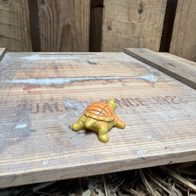 Dave the Yellow Tortoise BOTANICAL BESTIES PLANT COMPANIONS