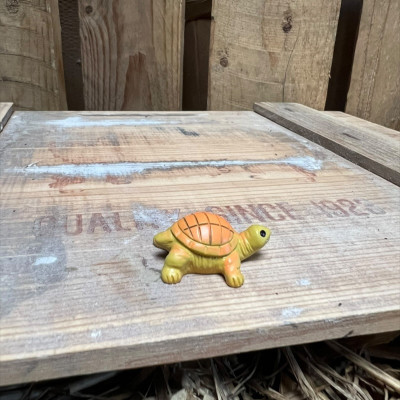 Dave the Yellow Tortoise BOTANICAL BESTIES PLANT COMPANIONS