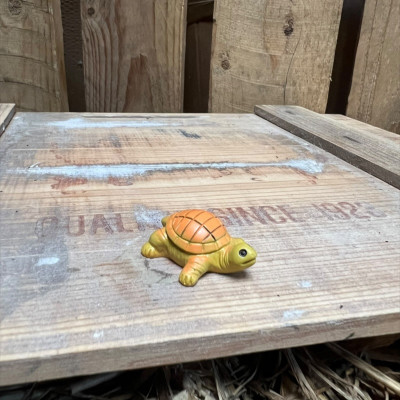 Dave the Yellow Tortoise BOTANICAL BESTIES PLANT COMPANIONS
