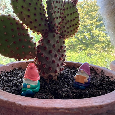 BOTANICAL BESTIES - PLANT COMPANIONS MINI GNOMES