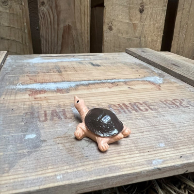 Winkly Harry the Brown Tortoise BOTANICAL BESTIES PLANT COMPANIONS