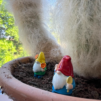BOTANICAL BESTIES - PLANT COMPANIONS MINI GNOMES