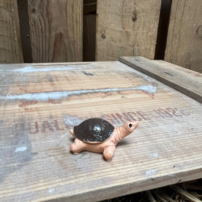 Winkly Harry the Brown Tortoise BOTANICAL BESTIES PLANT COMPANIONS