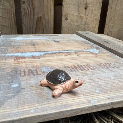 Winkly Harry the Brown Tortoise BOTANICAL BESTIES PLANT COMPANIONS