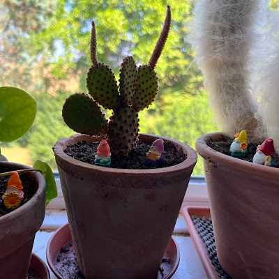 BOTANICAL BESTIES - PLANT COMPANIONS MINI GNOMES