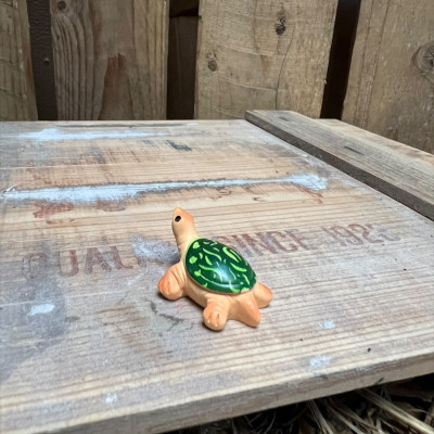 Kerry the Tortoise BOTANICAL BESTIES PLANT COMPANIONS