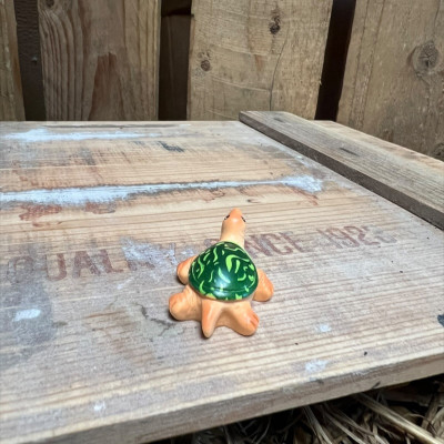 Kerry the Tortoise BOTANICAL BESTIES PLANT COMPANIONS