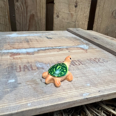 Kerry the Tortoise BOTANICAL BESTIES PLANT COMPANIONS
