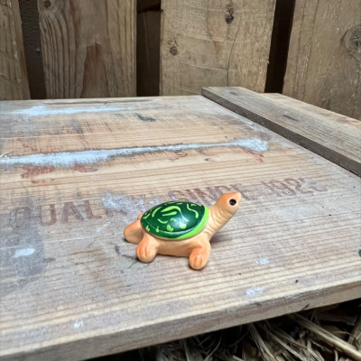 Kerry the Tortoise BOTANICAL BESTIES PLANT COMPANIONS